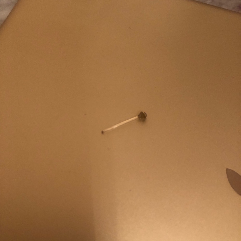 NEW Nose Stud Gift - Picture 2 of 2